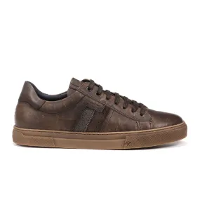Fluchos Niko F133 Sneaker (Men) - Brown